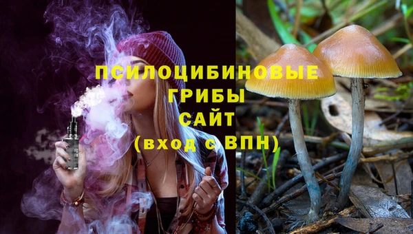 стаф Покровск