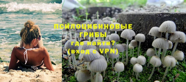 стаф Покровск