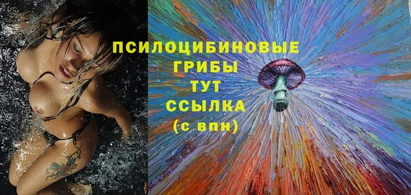 стаф Покровск